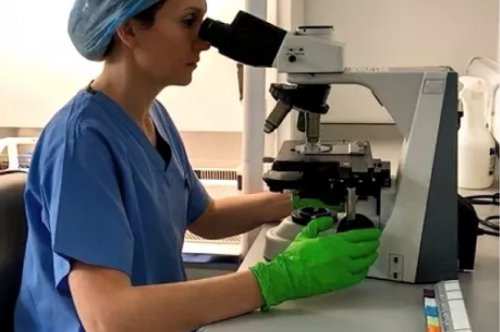 CERTIFICACION DE ESPECIALISTAS