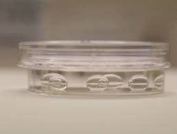 Listado de Proveedores de insumos para Laboratorios de Reproducción Asistida