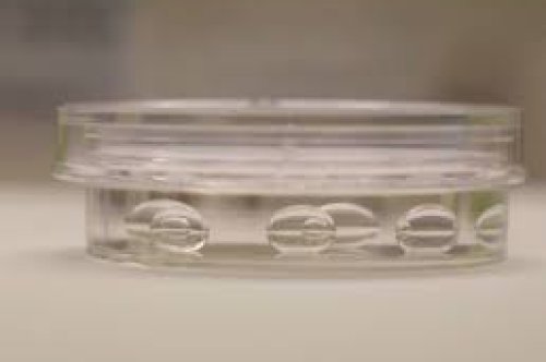 Listado de Proveedores de insumos para Laboratorios de Reproducción Asistida